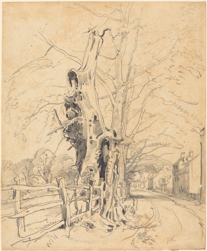 Trees by a Rail Fence