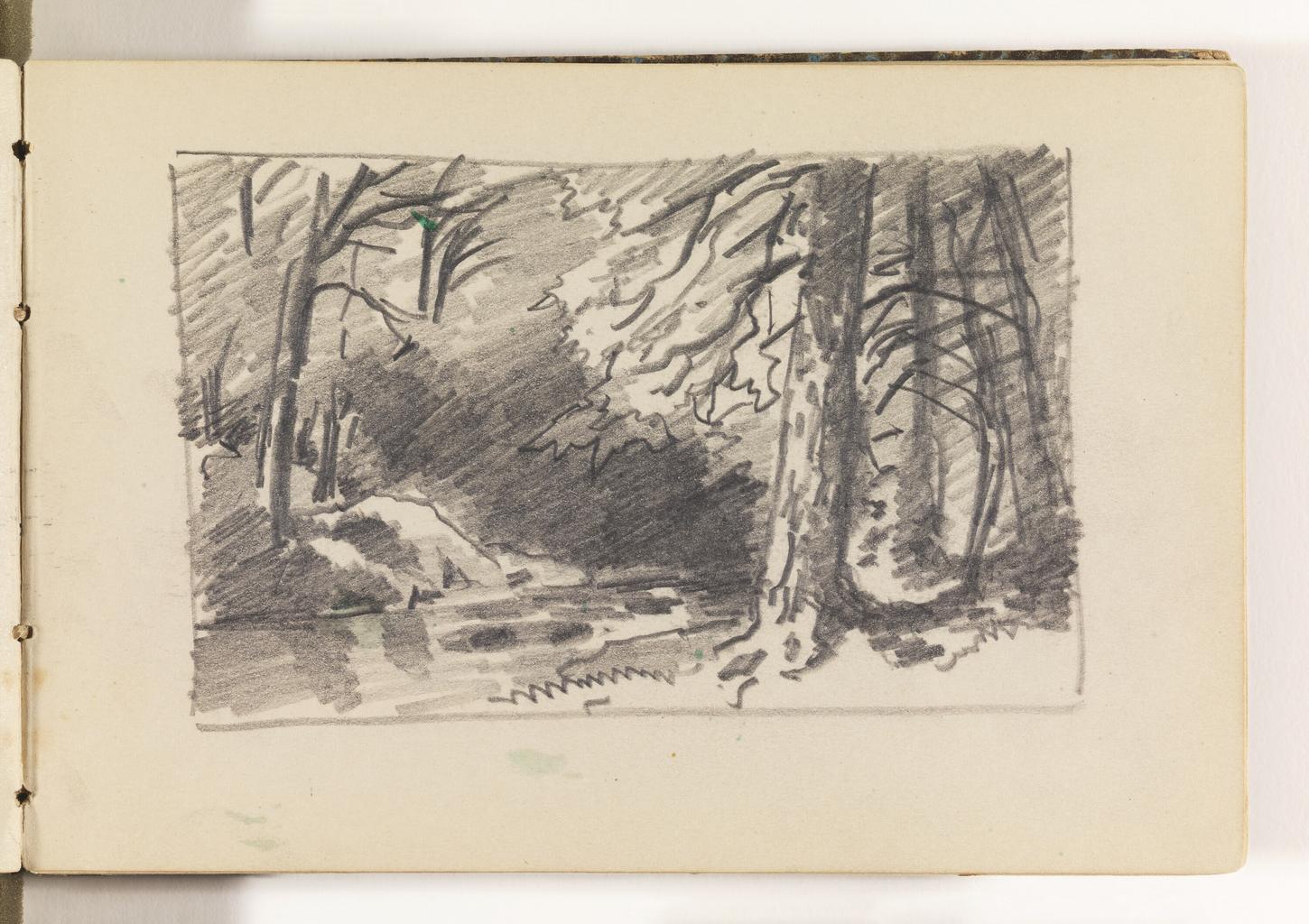 Stream Framed by Large, Dark Trees