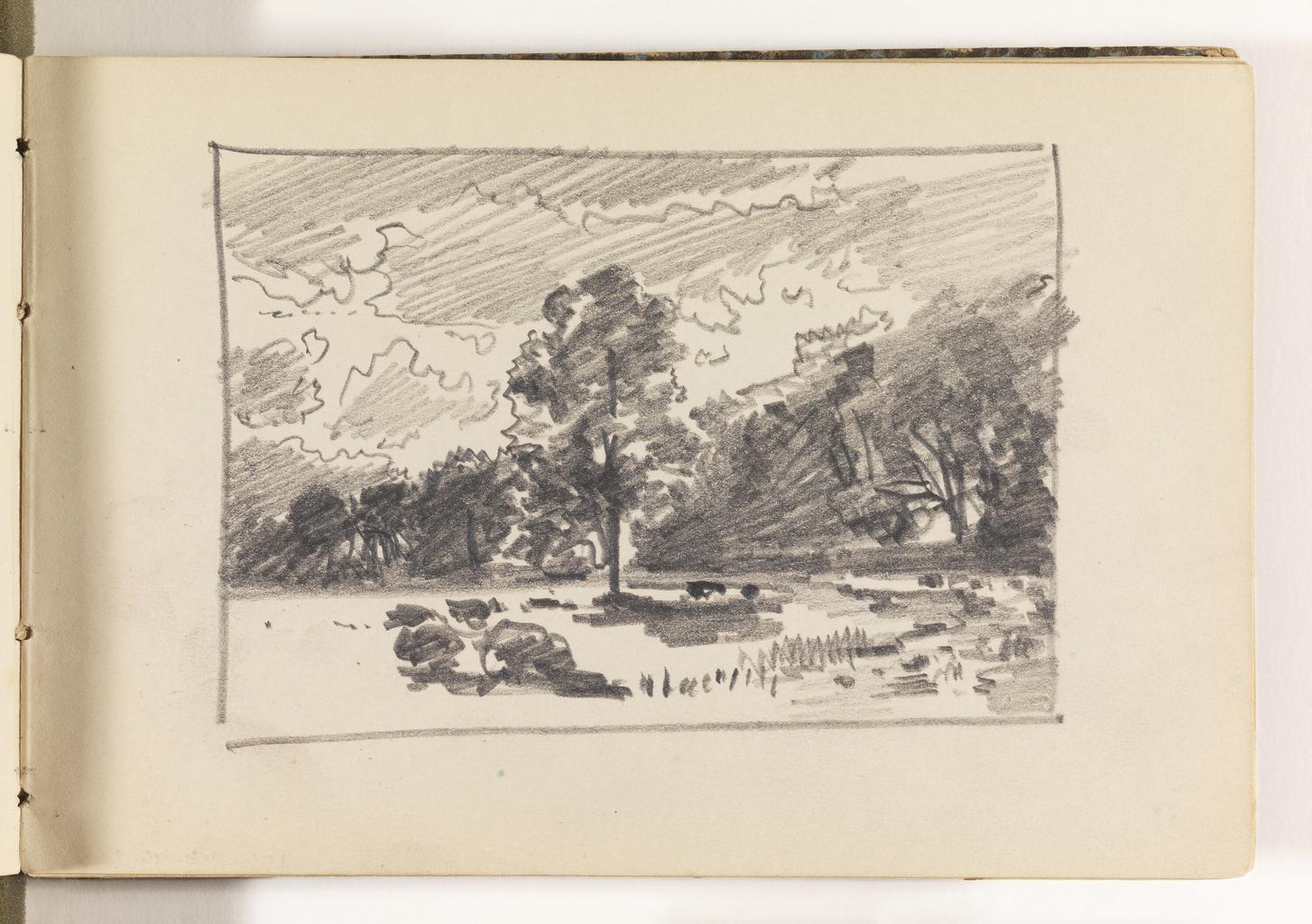 Countryside with Trees and Rocks