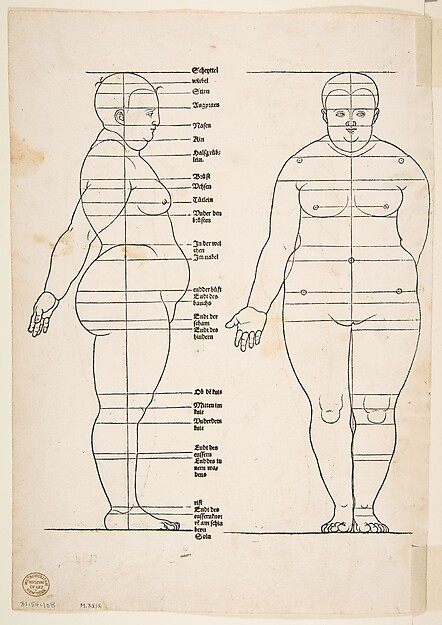 IIllustration from Dürer's "Vier Bucher von Menslicher Proportion"