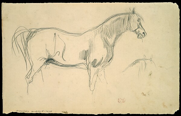 Studies of a Horse in Profile