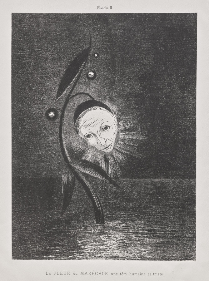The Marsh Flower, a Sad Human Head