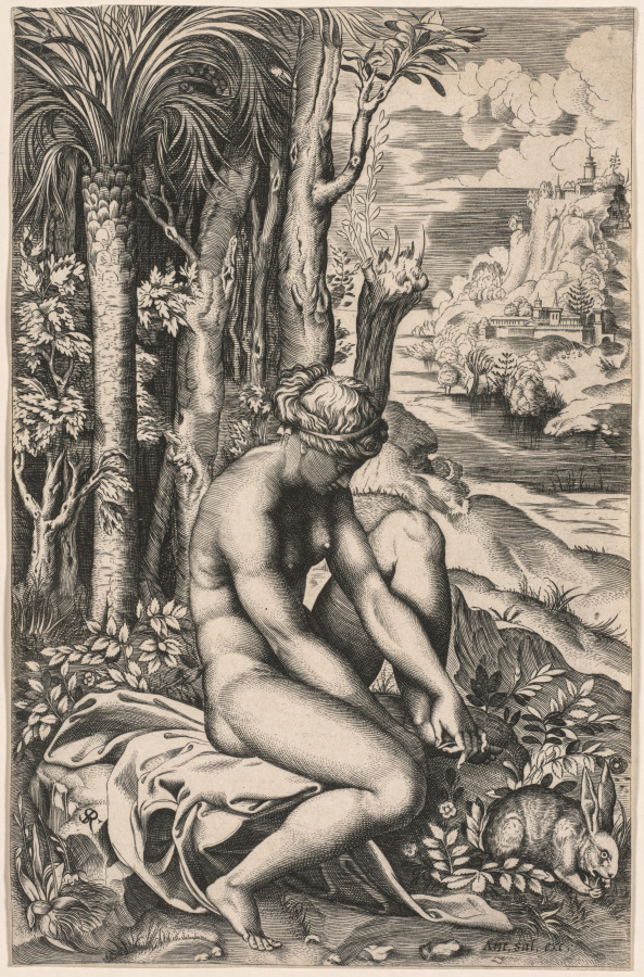 Venus Wounded by a Rose's Thorn