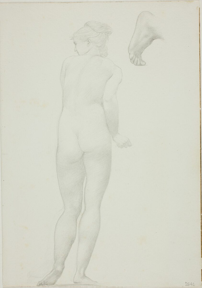 Backview of Standing Nude Woman and Sketch of a Foot