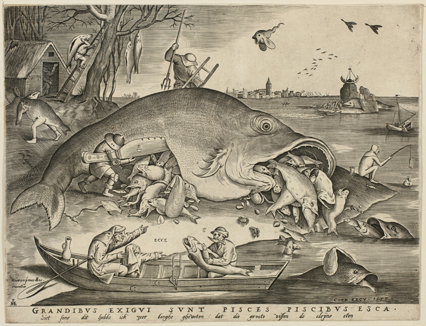 Big Fish Eat Little Fish