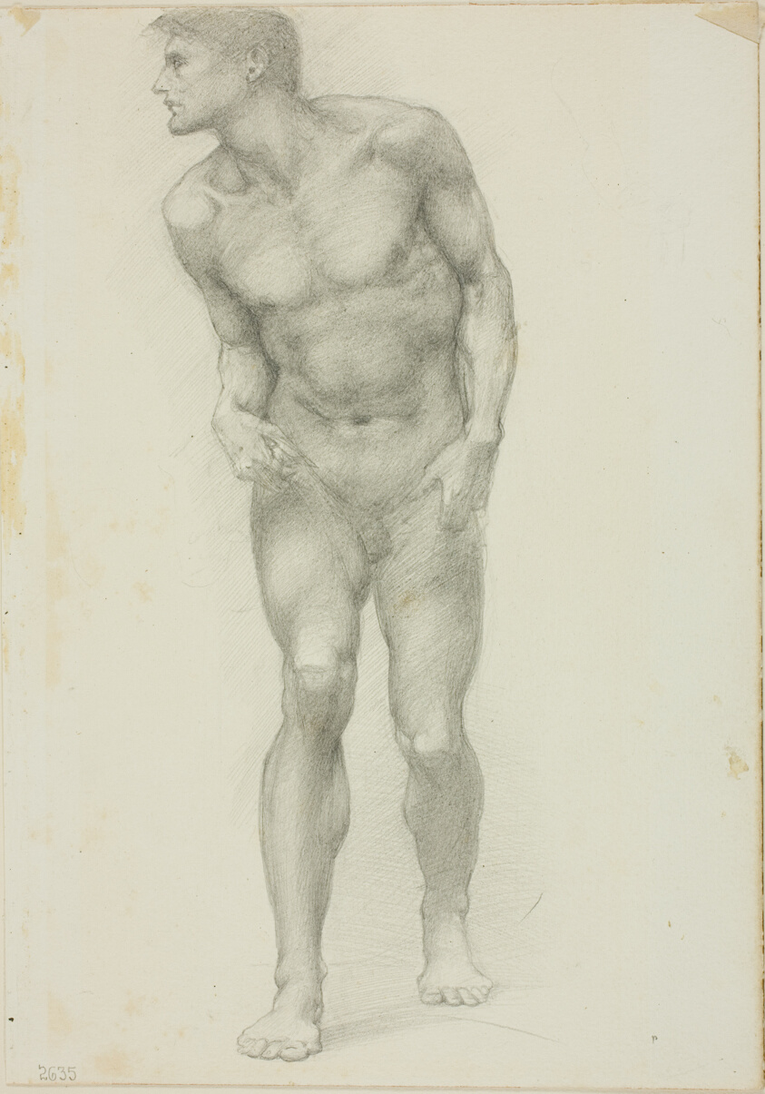 Standing Nude Male with Face in Profile