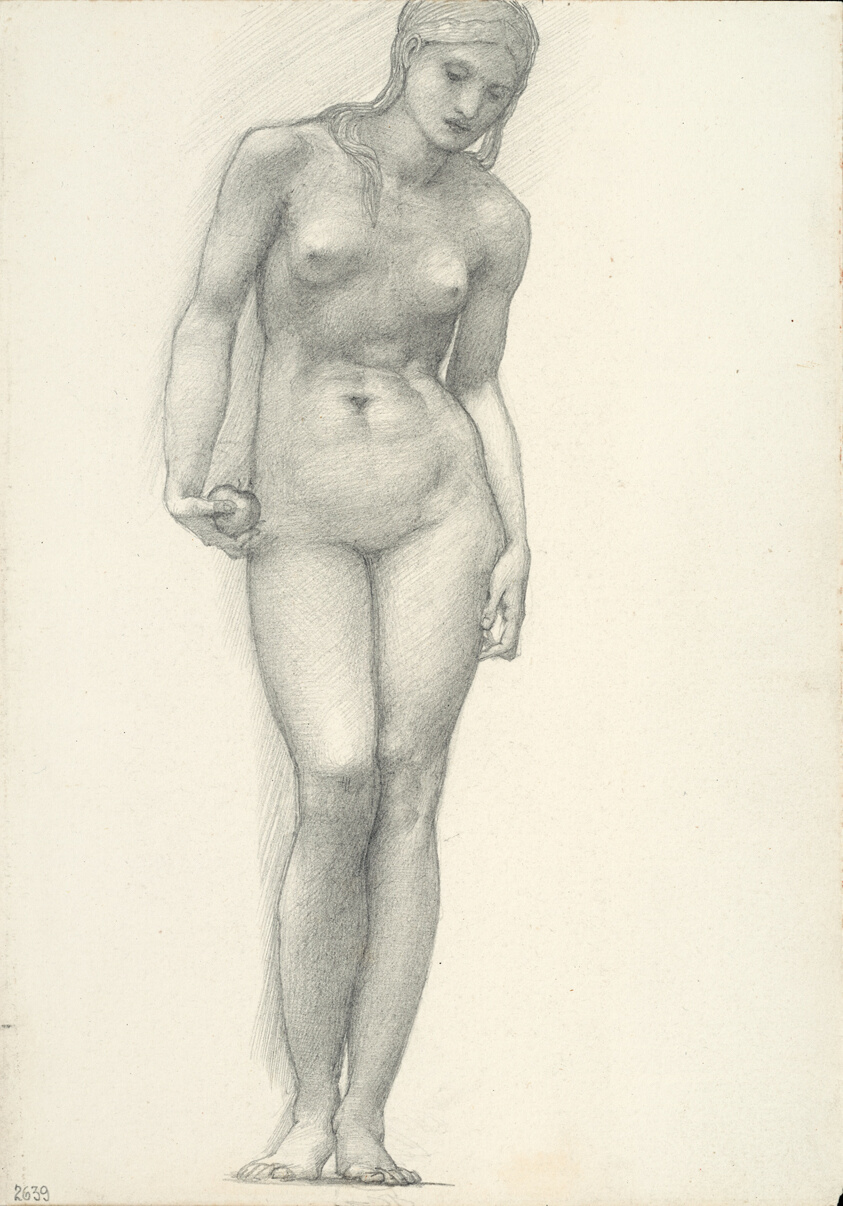 Venus with Golden Apple in Right Hand, for the Troy Triptych (sketchbook #2639)