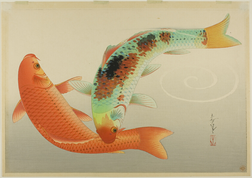 Brocade Carp from the series "Great Japanese Fish Picture Collection (Dai nihon gyorui gashu)"
